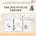 Polyvagal Ladder Worksheets | Nervous System Regulation Tool | Trauma-Informed Therapy Resource