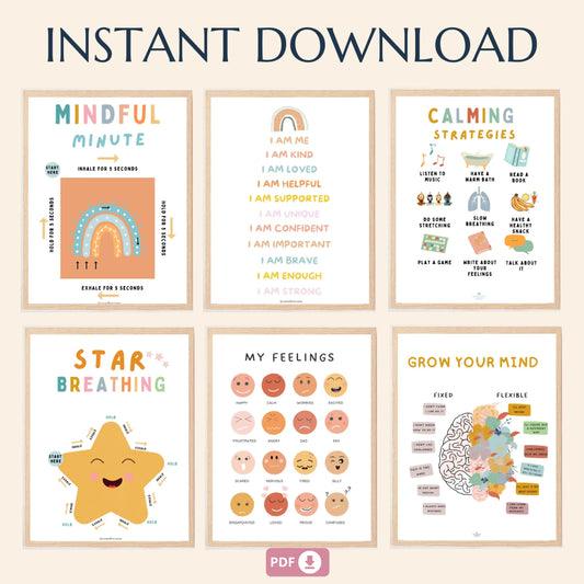 Social Emotional Regulation Posters – Set of 25 Printable Visual Tools for Emotion Identification & Self-Regulation