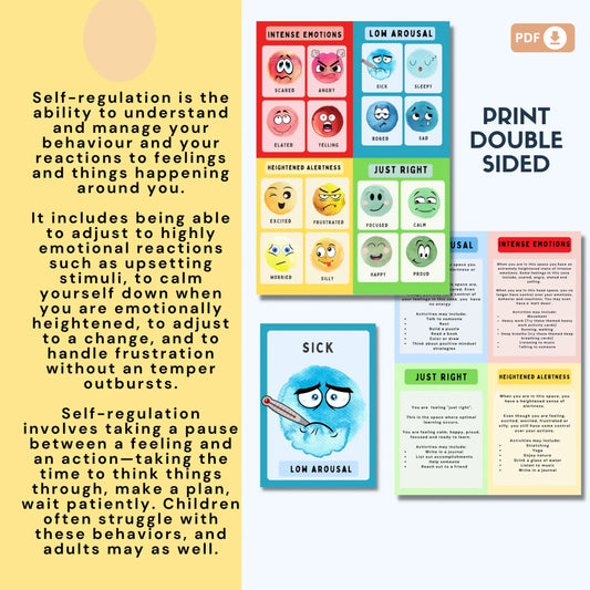 Zones of Self-Regulation Flash Cards for Kids
