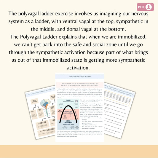 Polyvagal Ladder Worksheets | Nervous System Regulation Tool | Trauma-Informed Therapy Resource