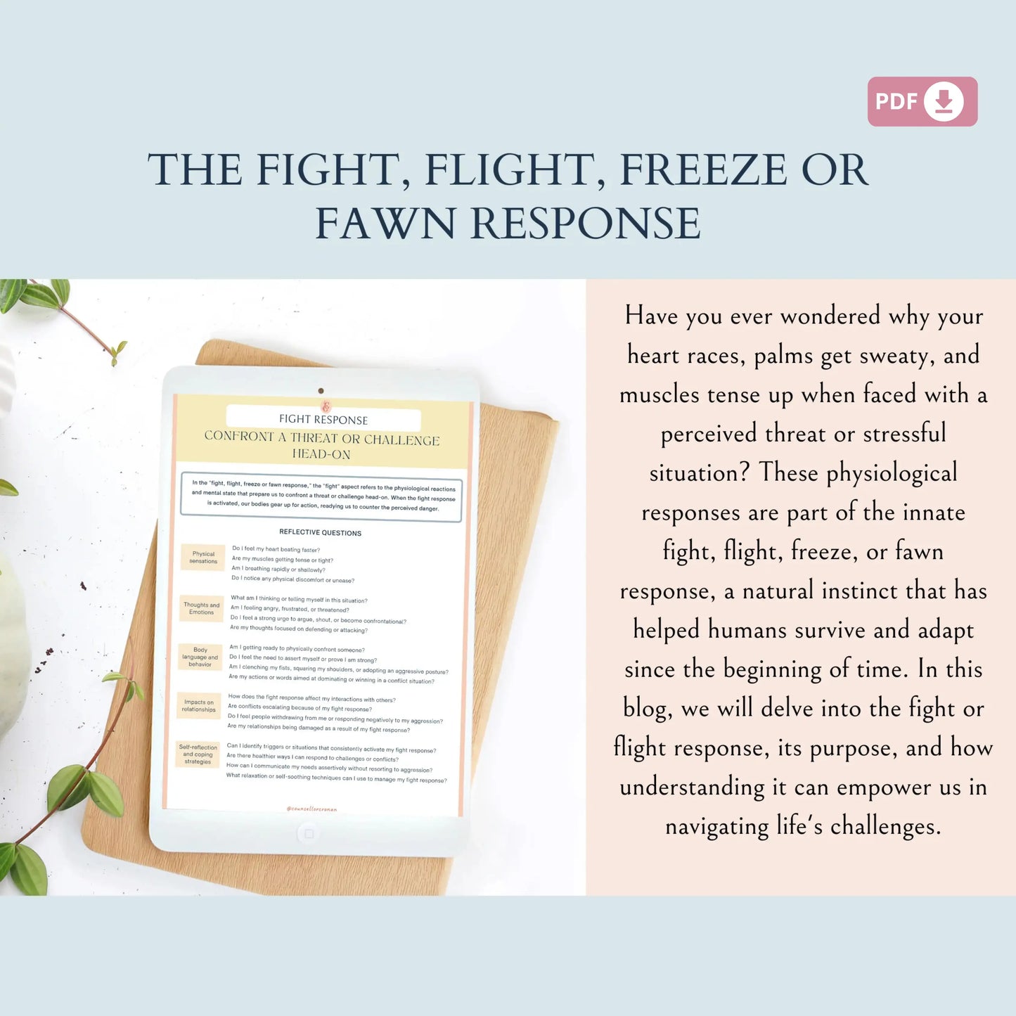 Fight, Flight, Freeze or Fawn Response | Brain Anatomy & Stress Response Workbook