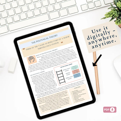Polyvagal Ladder Worksheets | Nervous System Regulation Tool | Trauma-Informed Therapy Resource