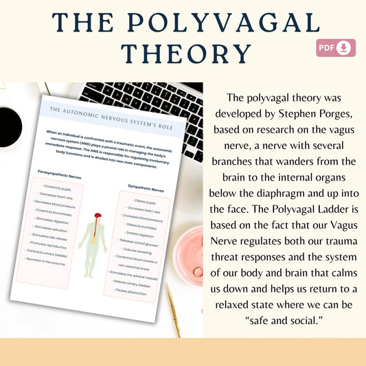 Polyvagal Ladder Worksheets | Nervous System Regulation Tool | Trauma-Informed Therapy Resource