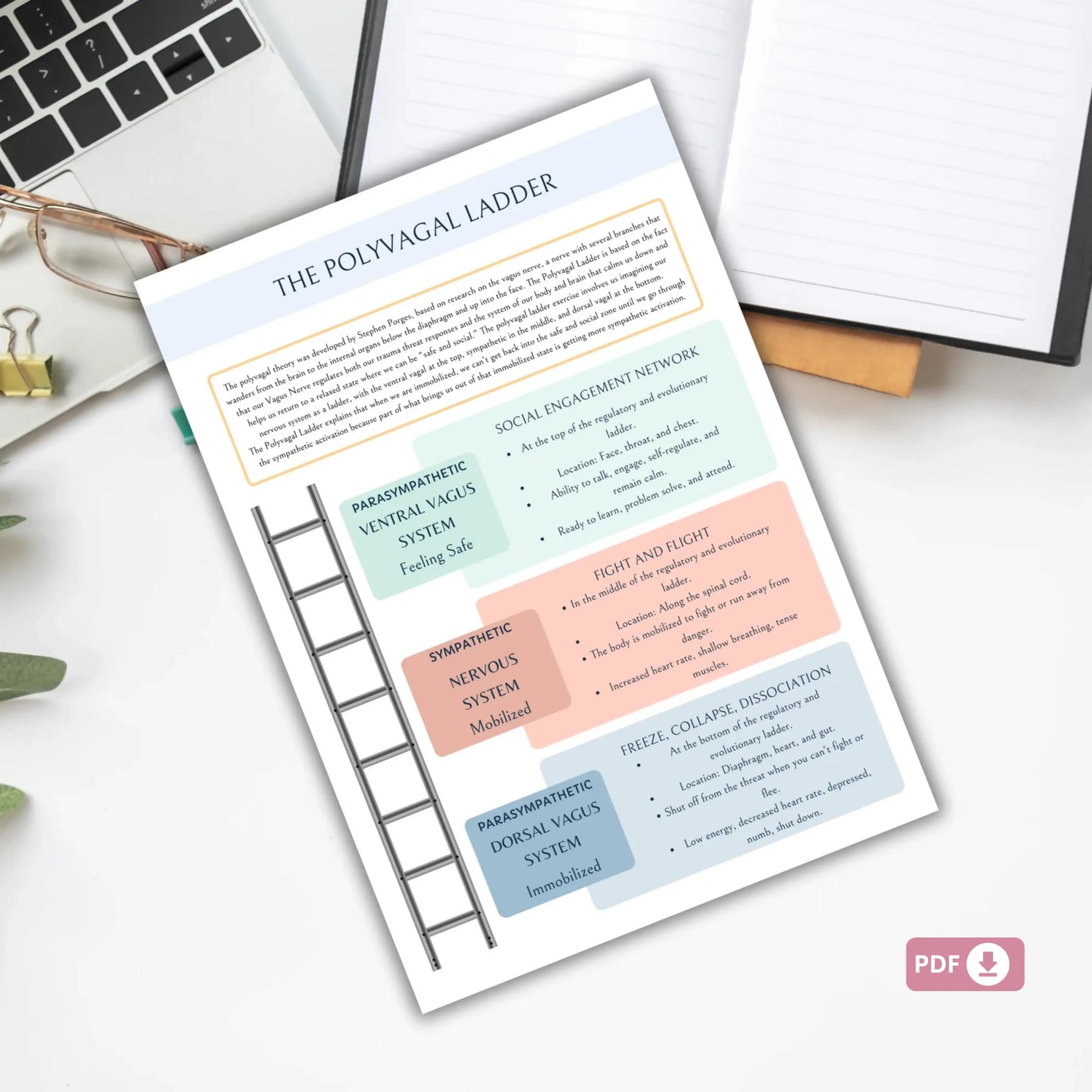 Polyvagal Ladder Worksheets | Nervous System Regulation Tool | Trauma-Informed Therapy Resource
