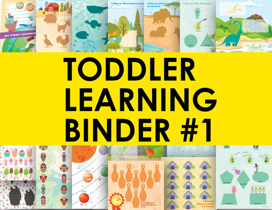 Toddler Learning Binder #1 Educational Activity Packs & Learning Binders for Toddlers, Preschoolers & Early Learners