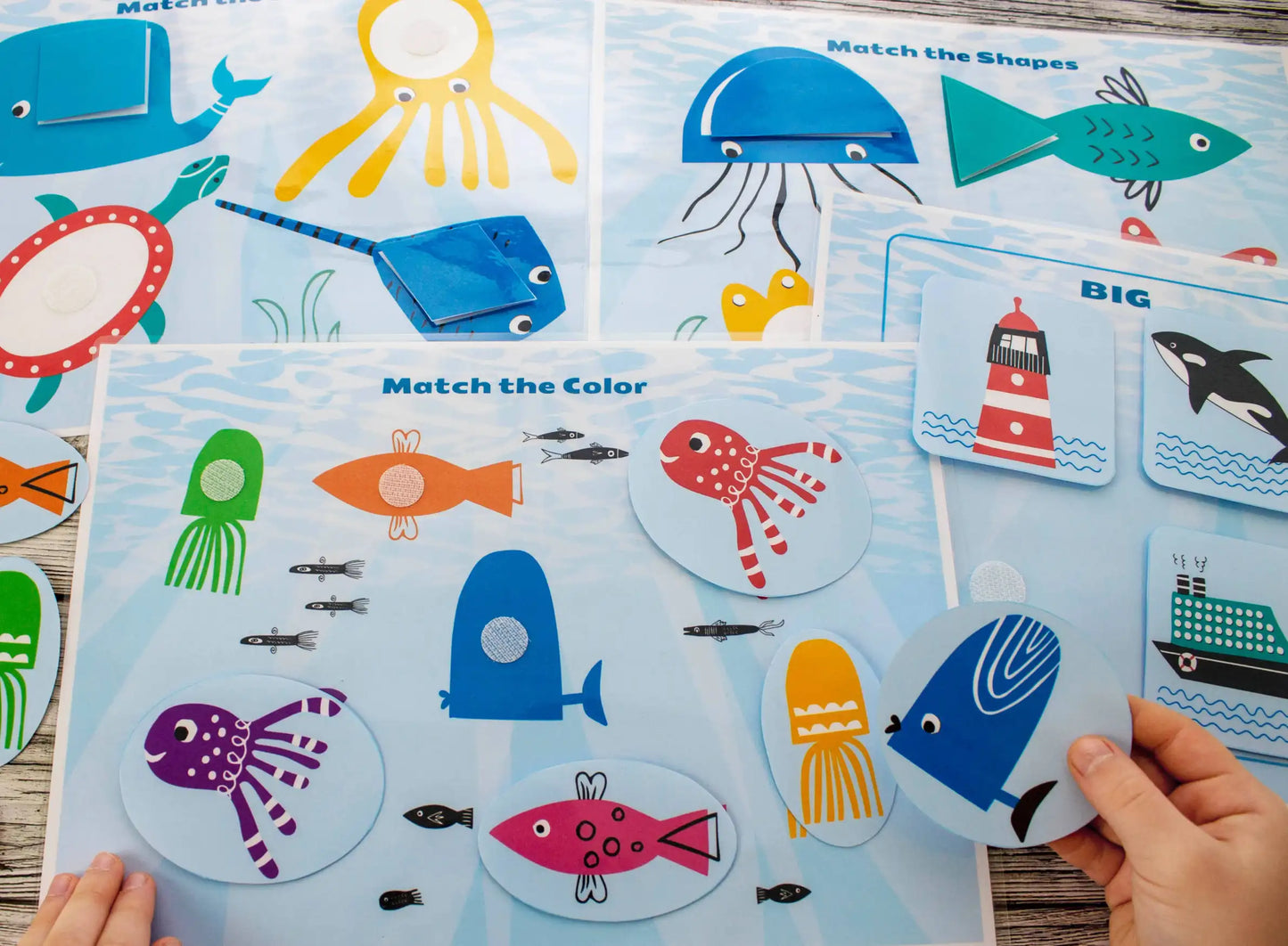 Ocean Animals Busy Book – Printable Marine Life Learning Binder (31 Pages)