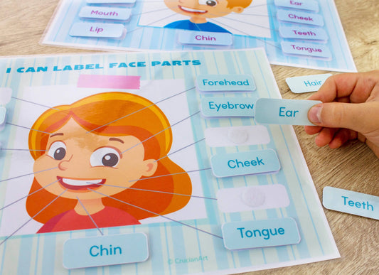 Body Parts Printable Learning Pack for Toddlers & Preschool – 18 Pages of Human Body & Face Activities