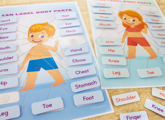 Body Parts Printable Learning Pack for Toddlers & Preschool – 18 Pages of Human Body & Face Activities