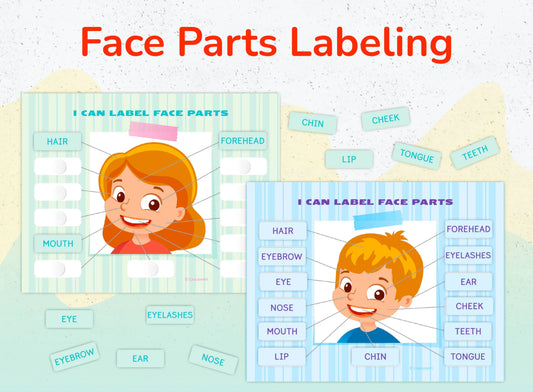 Body Parts Printable Learning Pack for Toddlers & Preschool – 18 Pages of Human Body & Face Activities