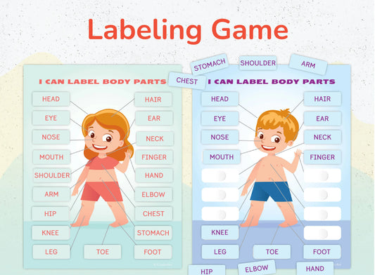 Body Parts Printable Learning Pack for Toddlers & Preschool – 18 Pages of Human Body & Face Activities