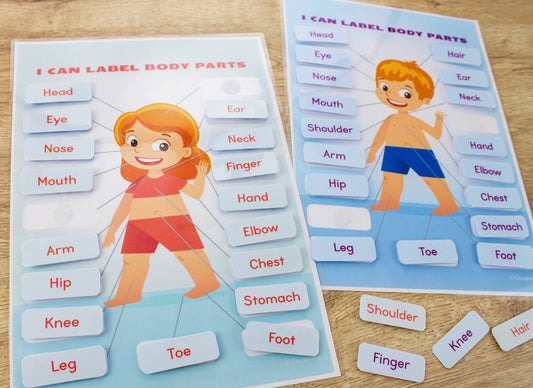 Body Parts Printable Learning Pack for Toddlers & Preschool – 18 Pages of Human Body & Face Activities