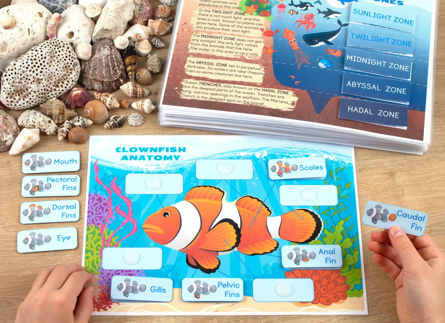 Ocean Busy Book – Printable Ocean Animals Activity Binder for Toddlers & Preschoolers