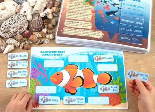 Ocean Busy Book – Printable Ocean Animals Activity Binder for Toddlers & Preschoolers