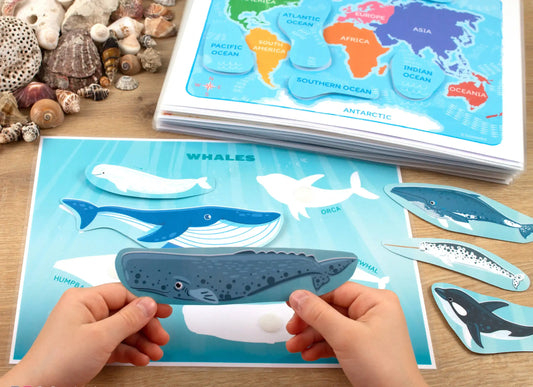 Ocean Busy Book – Printable Ocean Animals Activity Binder for Toddlers & Preschoolers
