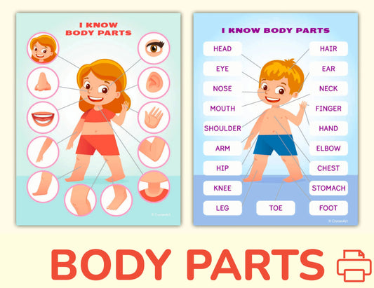 Body Parts Printable Learning Pack for Toddlers & Preschool – 18 Pages of Human Body & Face Activities