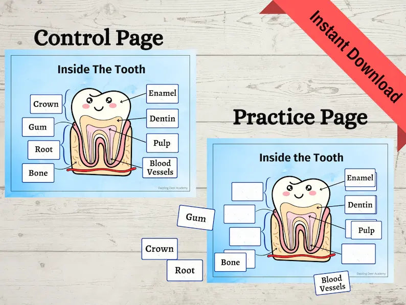 Dental Health Printable Activity for Kids – Tooth Education, Hygiene Worksheets & Dentist Visit Prep