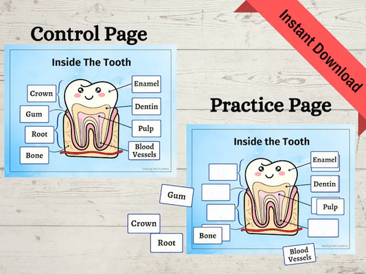 Dental Health Printable Activity for Kids – Tooth Education, Hygiene Worksheets & Dentist Visit Prep